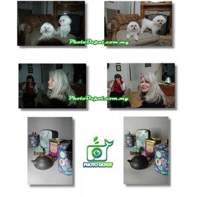Light Tipper Diffuser (Pop-Up Flash Bounce, Reflector & Diffuser)